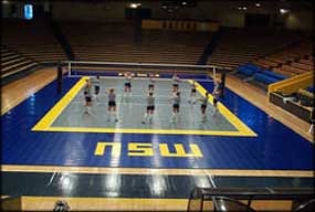 Rhino Custom Basketball Court 2