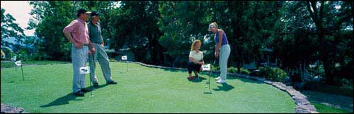 A professional golf green installed by Rhino Sports of Orange County