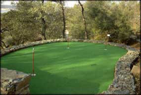 Rhino Turf Golf Green