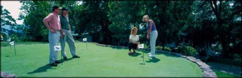 Weatherproof Rhino Turf Golf Green