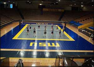 Multi-Purpose Sports Flooring 1